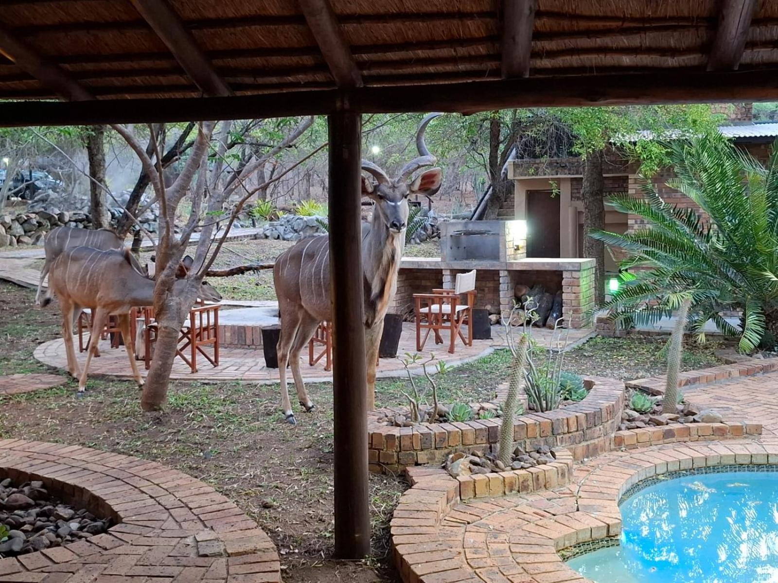 Kruger Riverside Lodge - No Load-Shedding Марлот-Парк Экстерьер фото