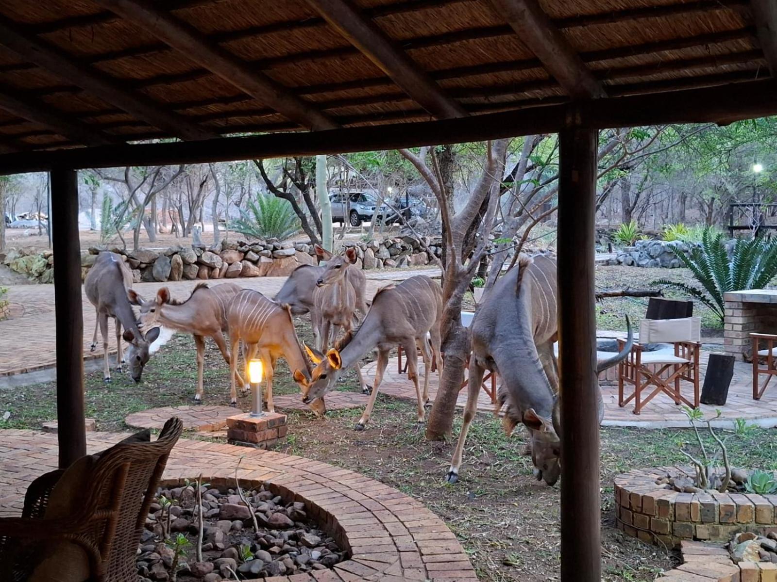 Kruger Riverside Lodge - No Load-Shedding Марлот-Парк Экстерьер фото