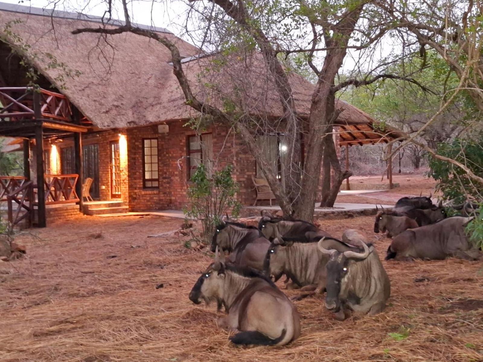 Kruger Riverside Lodge - No Load-Shedding Марлот-Парк Экстерьер фото