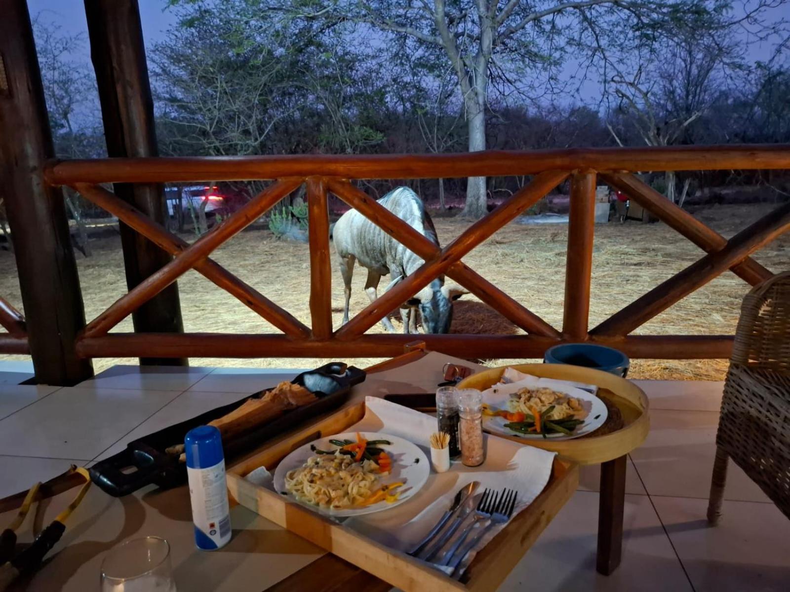 Kruger Riverside Lodge - No Load-Shedding Марлот-Парк Экстерьер фото
